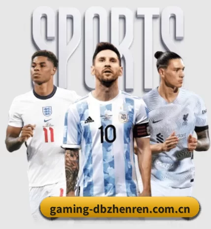 gaming-dbzhenren.com.cn APP