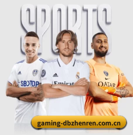gaming-dbzhenren.com.cn APP 界面